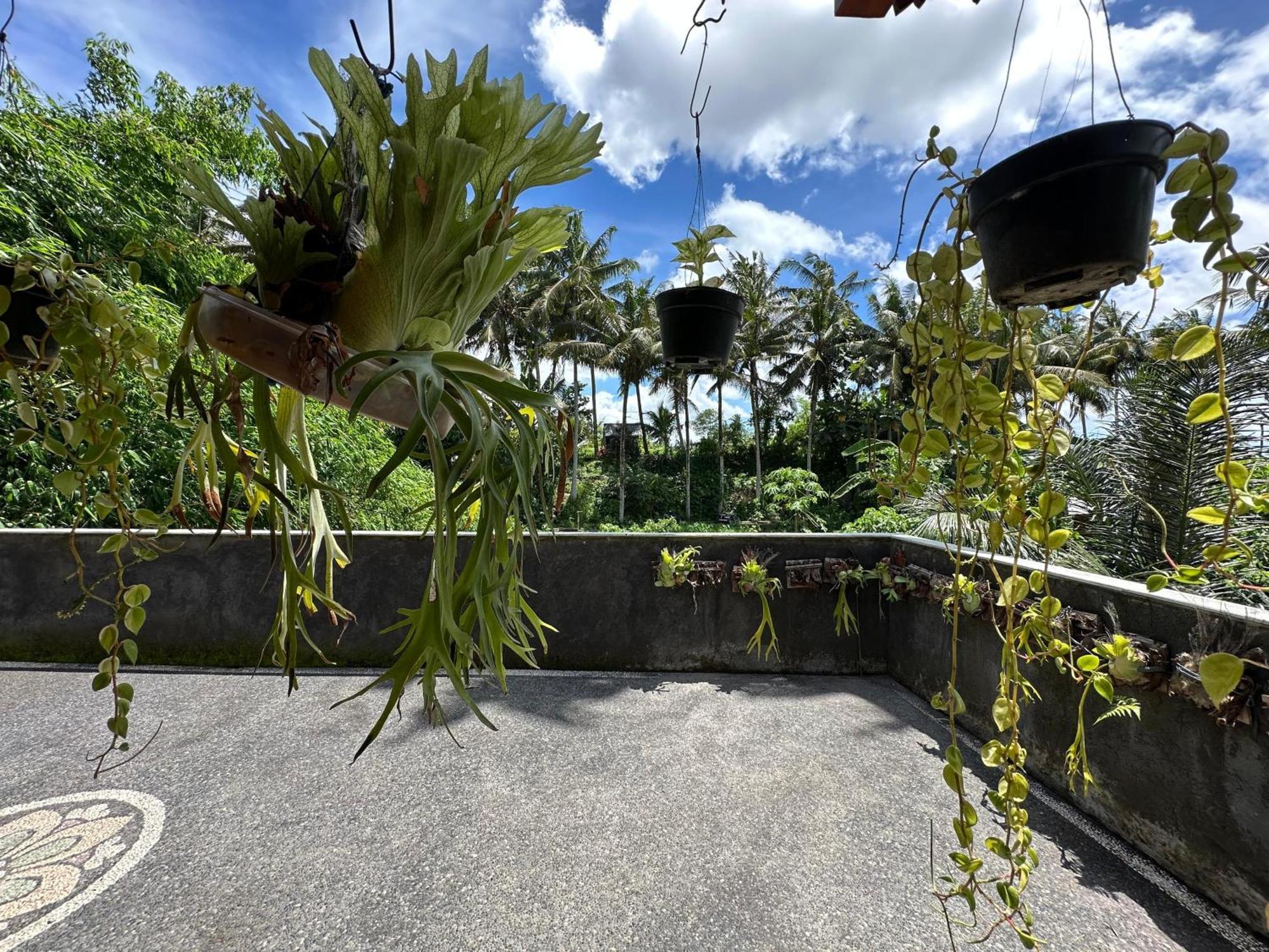 Hotel Tagel Karsa House Ubud Exteriér fotografie