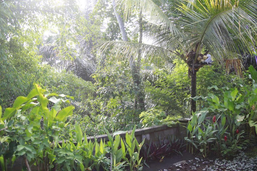 Hotel Tagel Karsa House Ubud Exteriér fotografie